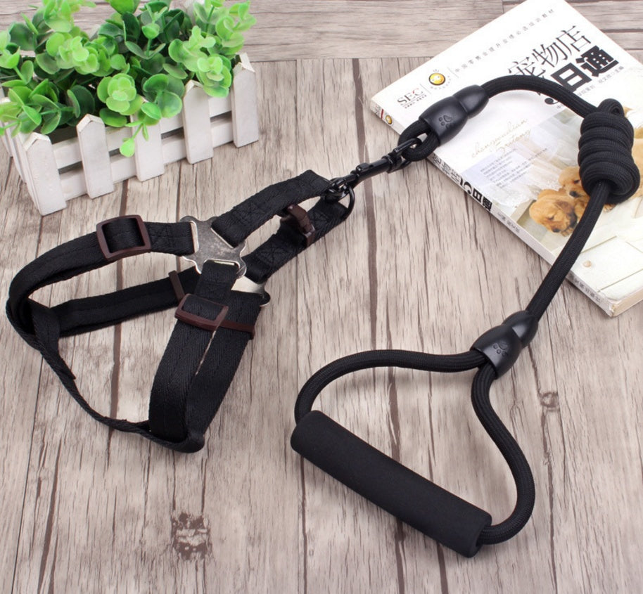 Durable Dog Leash, Adjustable Dog Collar, and Pet Harness Rope Set