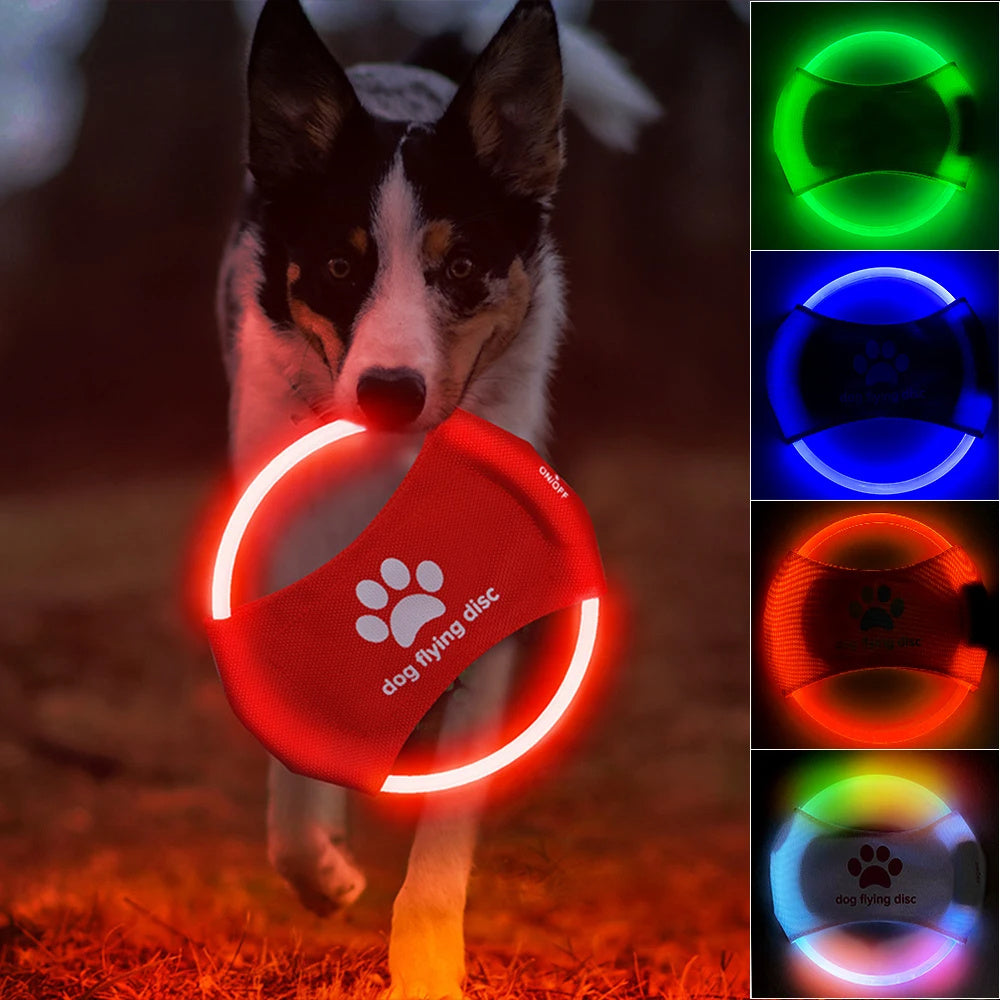 LED Glow Dog Frisbee: Interactive Light-Up Flying Disc Toy