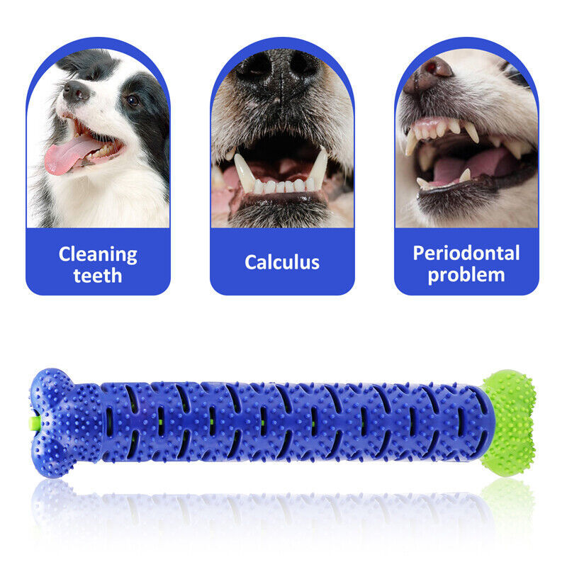 Durable TPR Dog Toothbrush Chew Toy: Teeth Cleaning Molar Brushing Stick for Pets