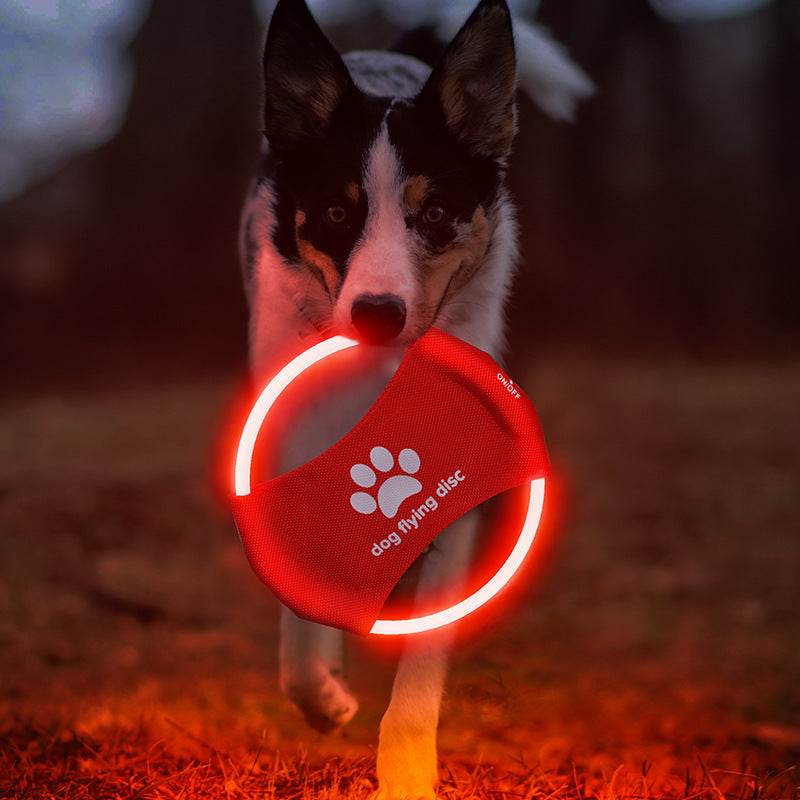 LED Glow Dog Frisbee: Interactive Light-Up Flying Disc Toy